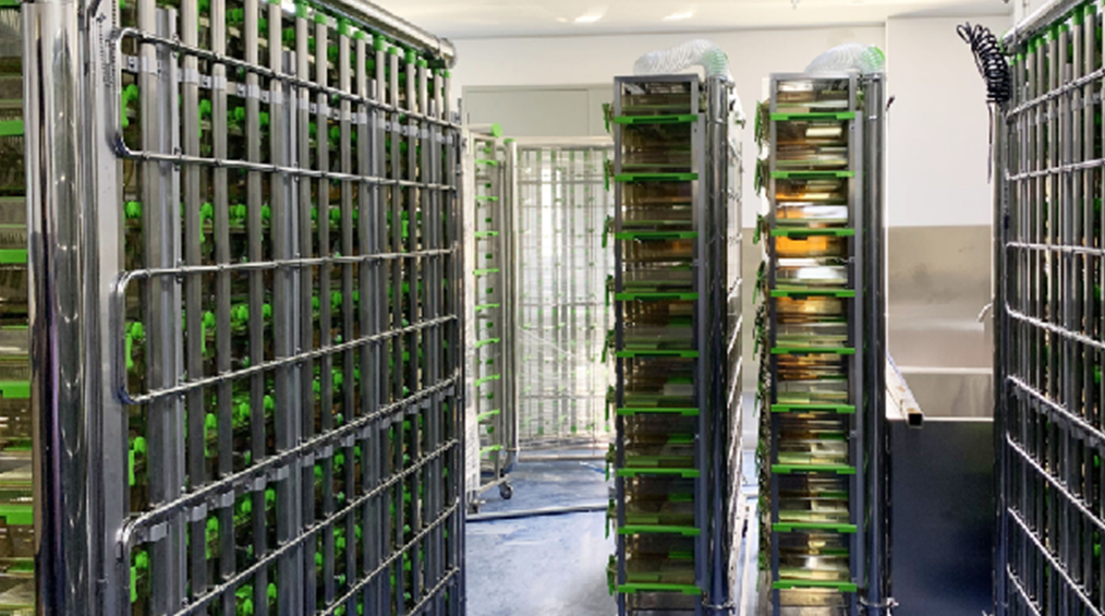 復旦大學動物房